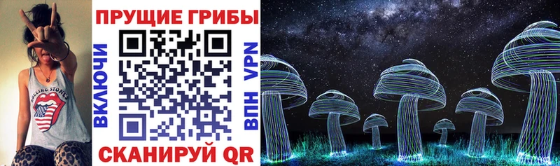 Галлюциногенные грибы MAGIC MUSHROOMS  цена наркотик  Лесозаводск 